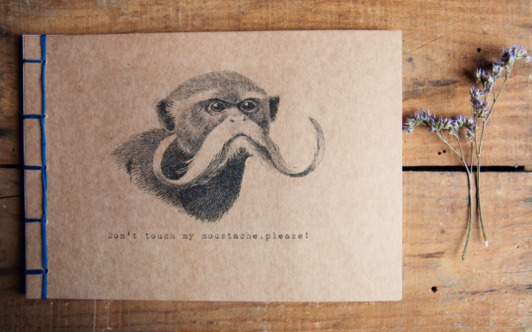 Mr. Moustache